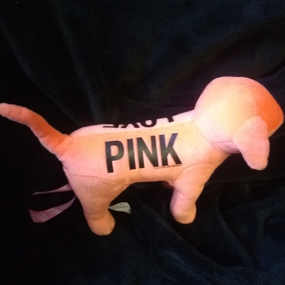 Orange PINK dog
